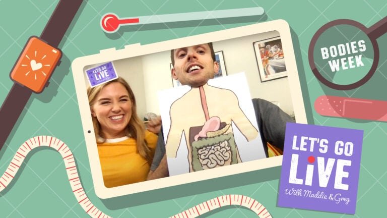 Click here for Can you Label the Digestive System? activity